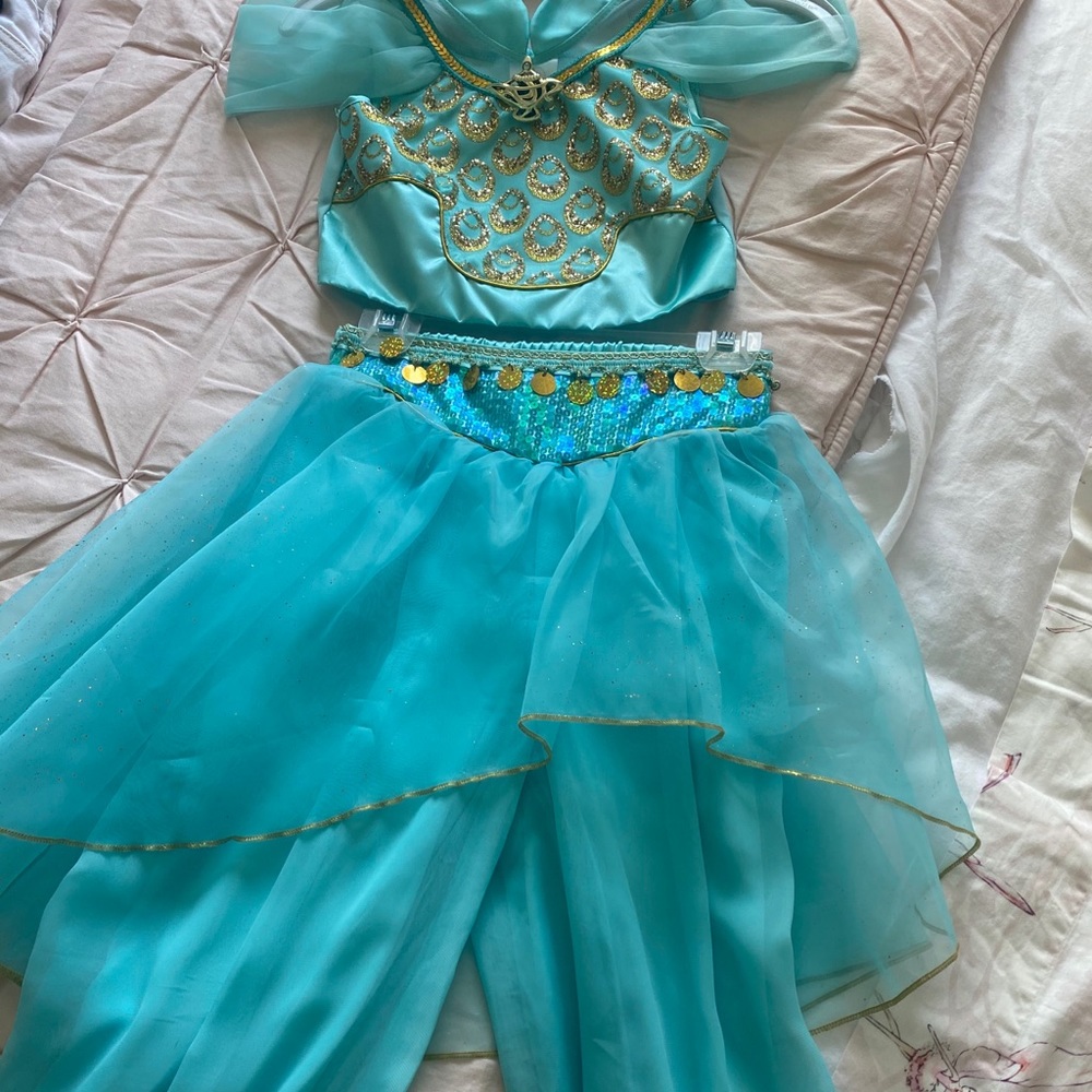 Princess Jasmine Costume